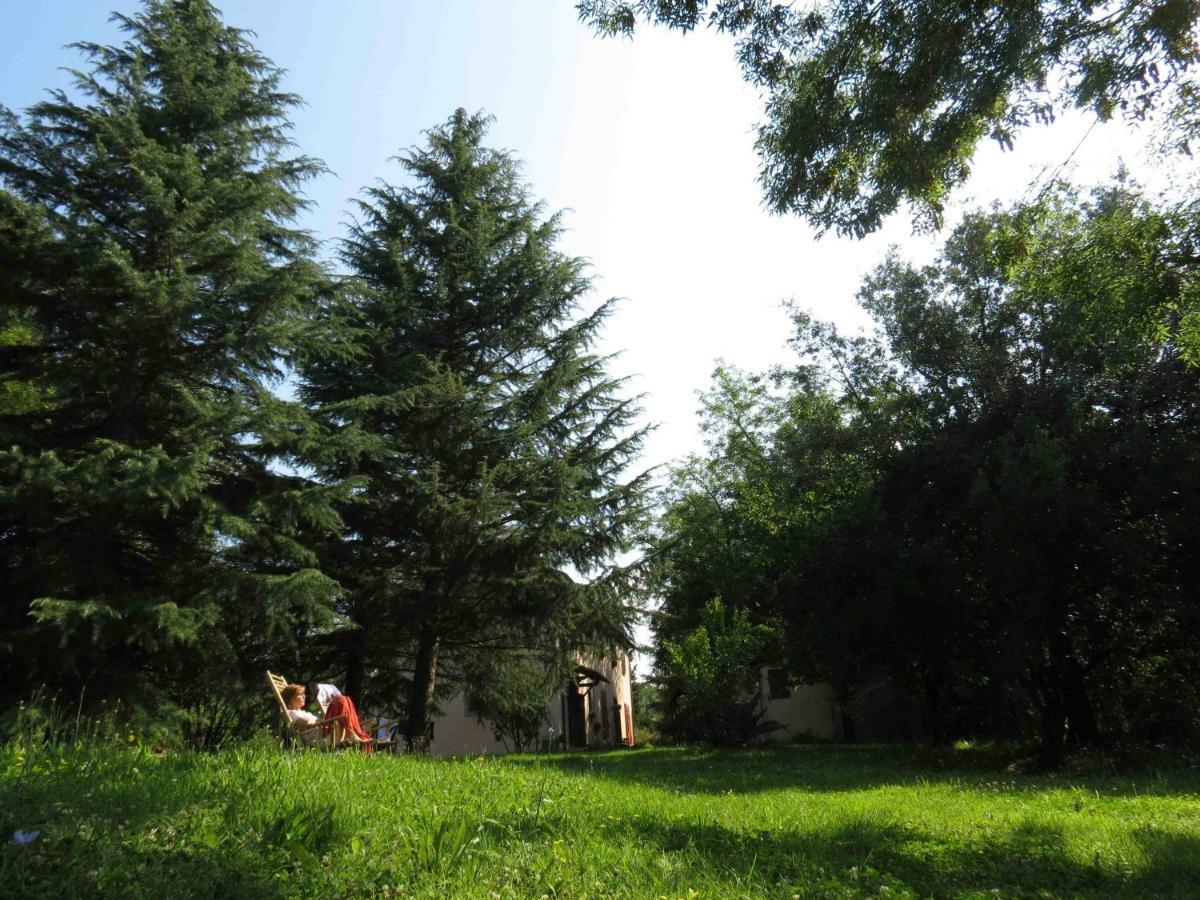 Agriturismo Bethsaid Fauglia Exterior foto